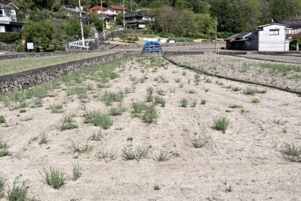 福山市新市町金丸　203坪　売土地