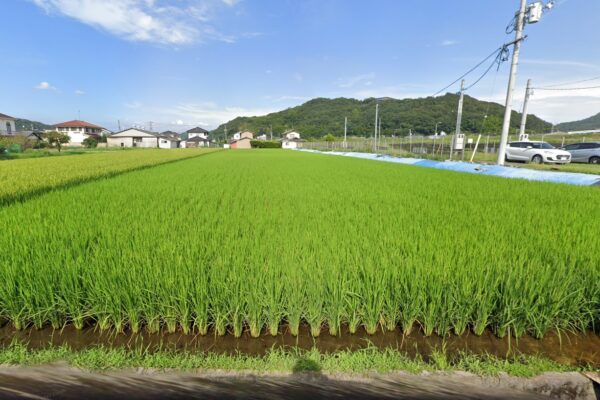 福山市御幸町中津原　売土地　約1077坪　事業用地